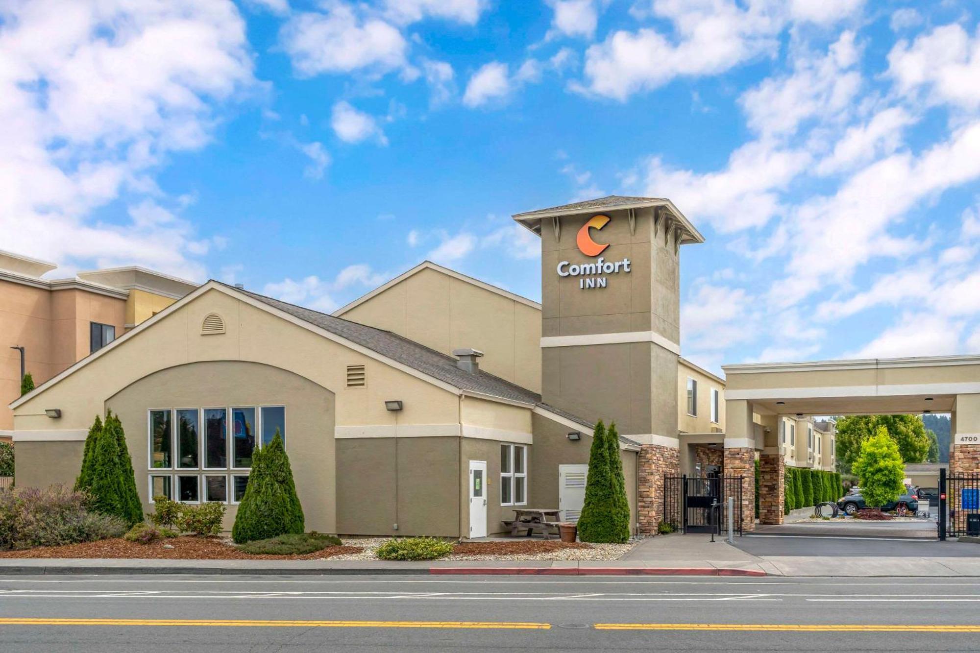 Comfort Hotel *