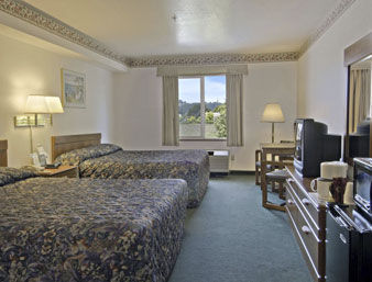 Comfort Hotel